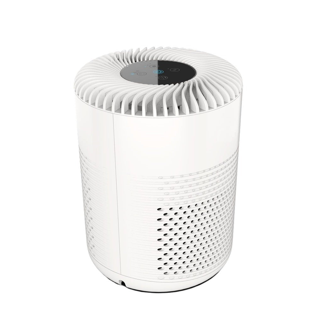 Seaside Bohemia Mini Air Purifier: 3 Speeds, HEPA Filter