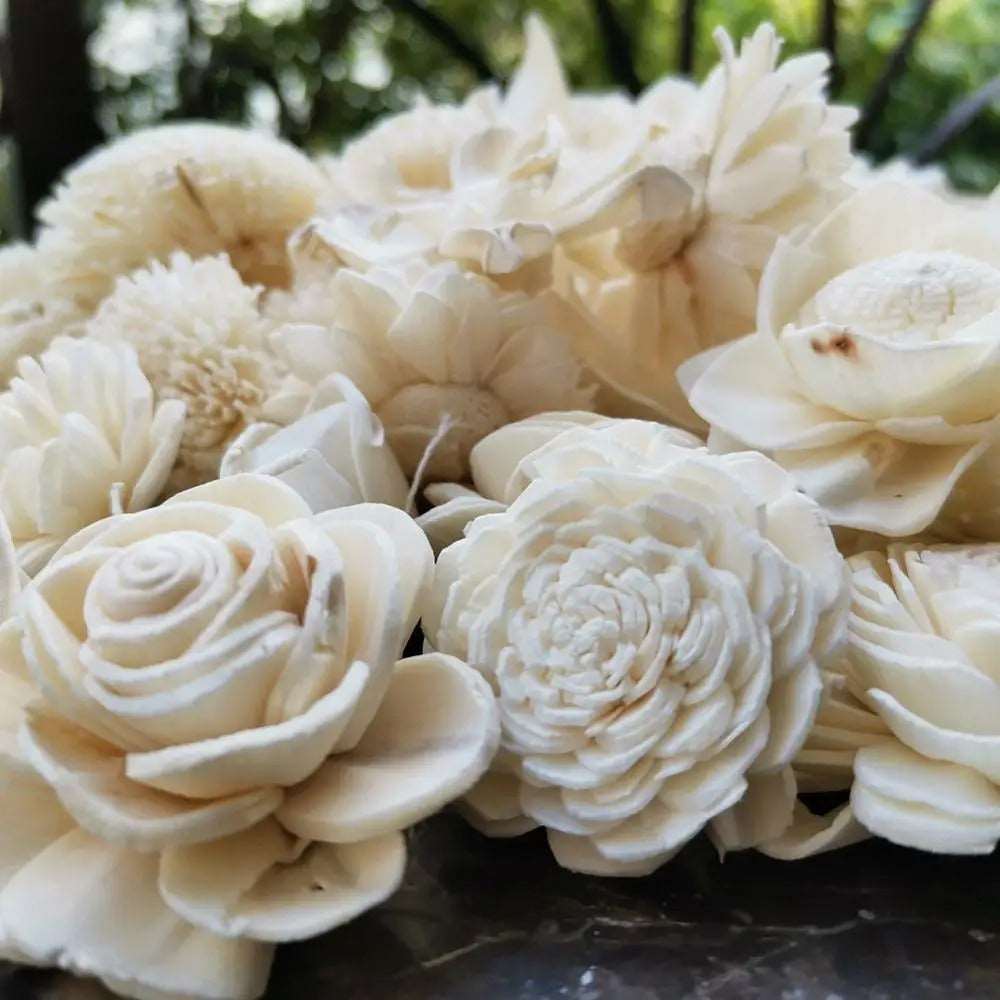 Hush-a-bye Hydrangeas - Dried Stick Chrysanthemum Scent Flowers